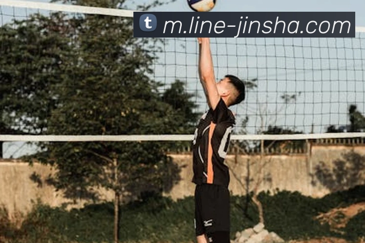 澳门金沙官网发展历程